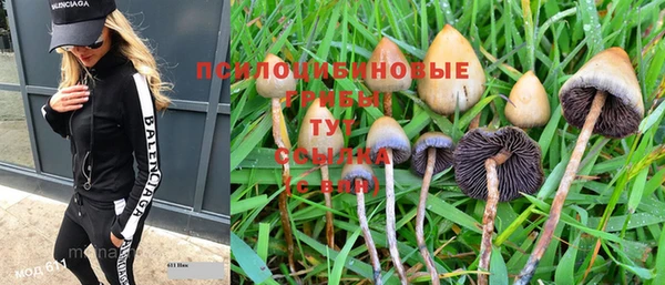 индика Алексеевка