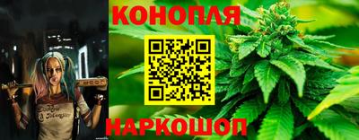 МДПВ Ирбит