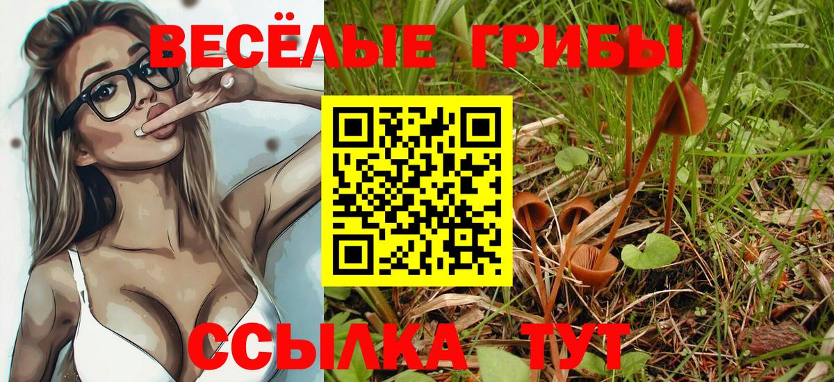 Псилоцибиновые грибы GOLDEN TEACHER  цена наркотик  Мурино  Галлюциногенные грибы Magic Shrooms  Вход с VPN 