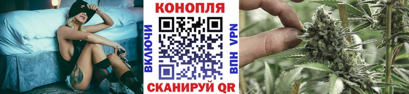 Конопля сатива  наркотики  shop телеграм  Мурино  гидра как войти 