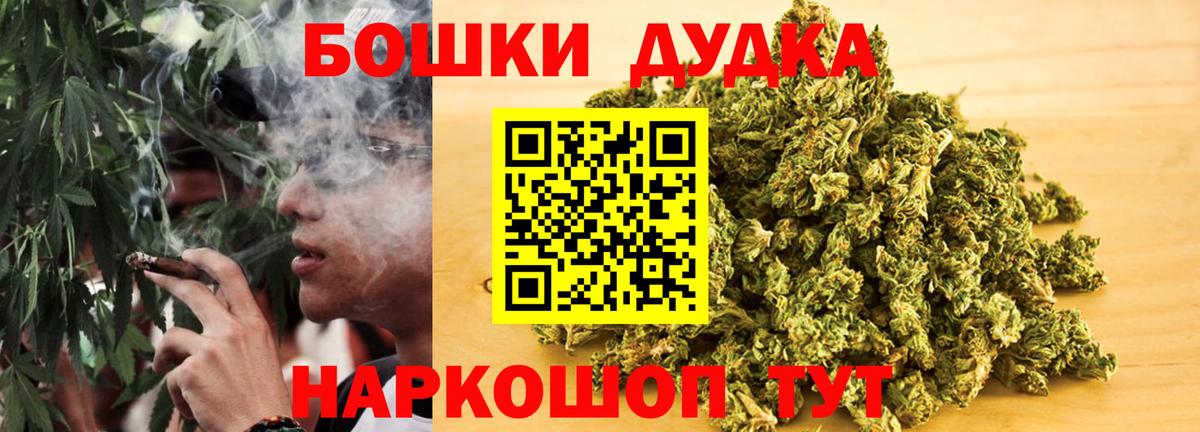Бошки Шишки план Мурино
